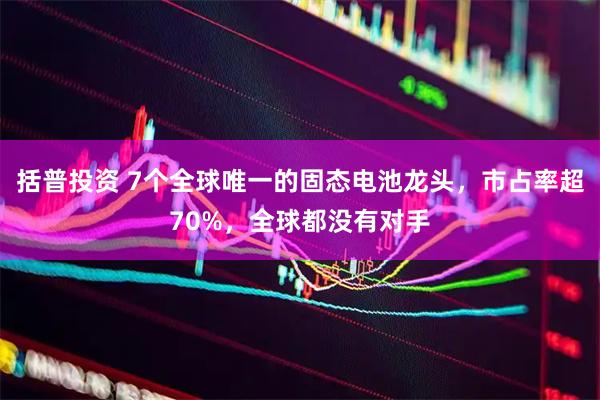括普投资 7个全球唯一的固态电池龙头，市占率超70%，全球都没有对手